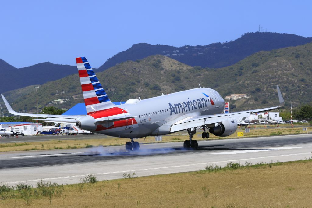 Airbus A319 (N9015D)