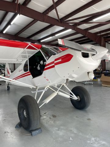 Piper L-21 Super Cub (N335PA)
