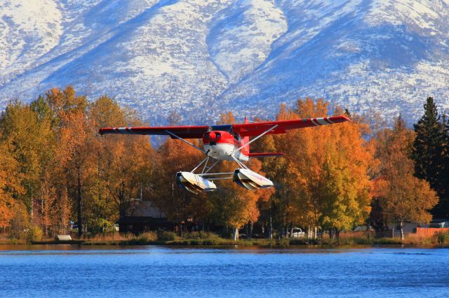 Cessna Skywagon (N4708Q)