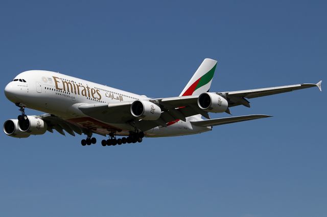 Airbus A380-800 (A6-EUI) - on 31 January 2019