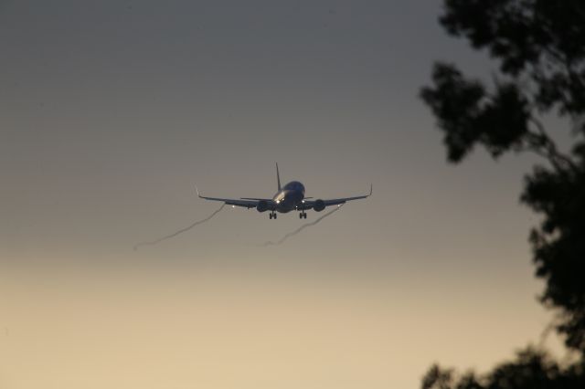 Boeing 737-800 (N640SW)