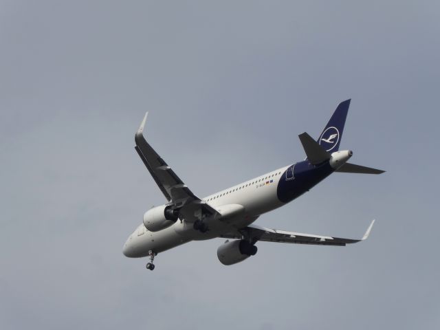 Airbus A320 (D-AIJA) - Lufthansa A320-271N D-AIJA, coming from MAD, shortly before landing on 25C FRA. Seen from highway rest area "Stadtwald" close to the airport, 01.04.2021.