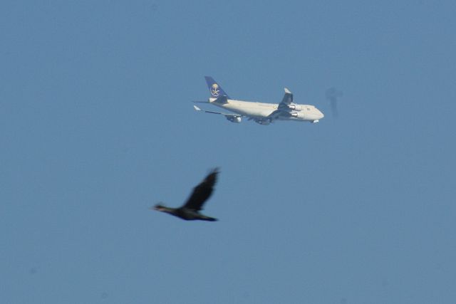 Boeing 747-200 — - 13-9-2016 10.38 am  boven Leiderdorp