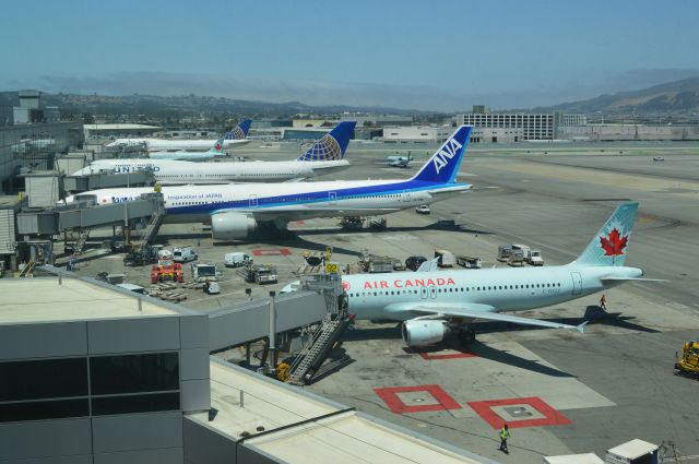 Airbus A320 (C-FDQV) - Taken from United International Lounge. Noon time international traffic at Terminal I-G at SFO.