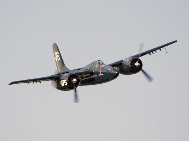 Grumman G-51 Tigercat (N379AK) - Oshkosh 2013!