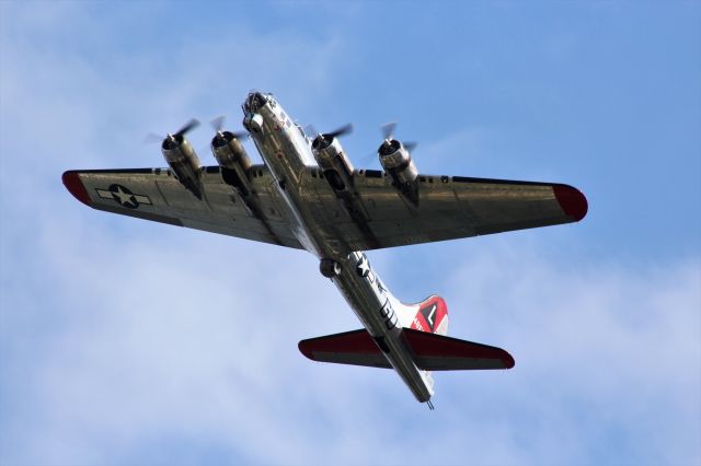 Boeing B-17 Flying Fortress (N3193G) - B-17 Yankee Lady overhead.  