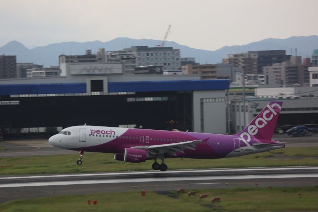 Airbus A320 (JA802P)