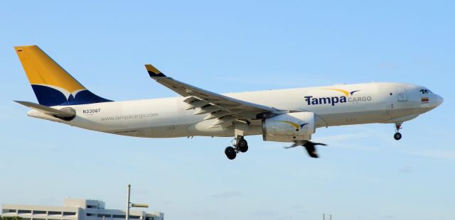 Airbus A330-200 (N330QT) - No,"The bird was not ingested or FOD"The engine"This is an Ibis flying parallel next"To the landing aircraft!"At a distance!N330QT