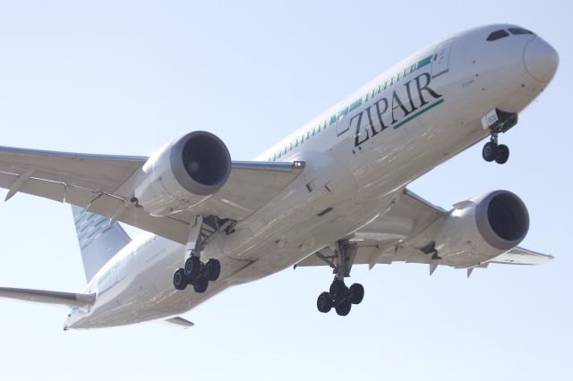 Boeing 787-8 (JA826J) - Note: New tail design 