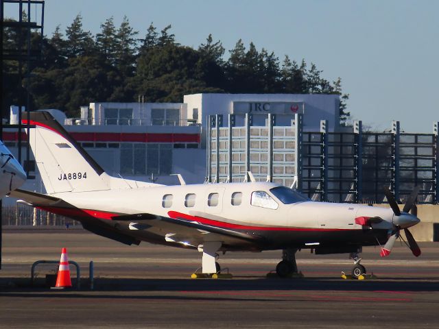 Socata TBM-700 (JA8894) - Photo taken on Dec 26, 2022.