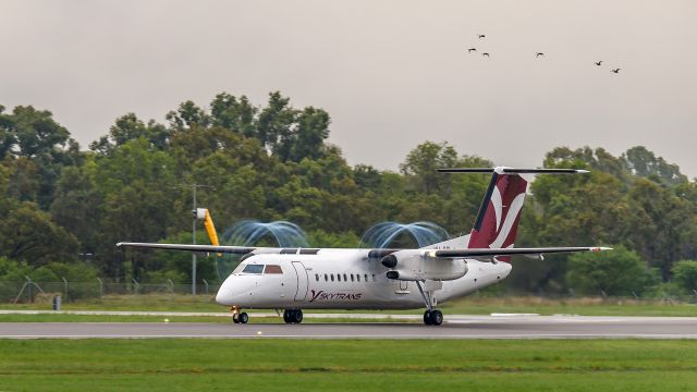 de Havilland Dash 8-300 (VH-QQL)