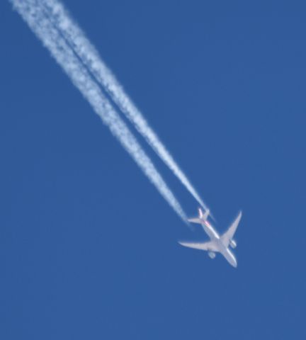 Boeing 787-8 (N819AN) - Flying over Sandia Park, NM from KPHX to KORD