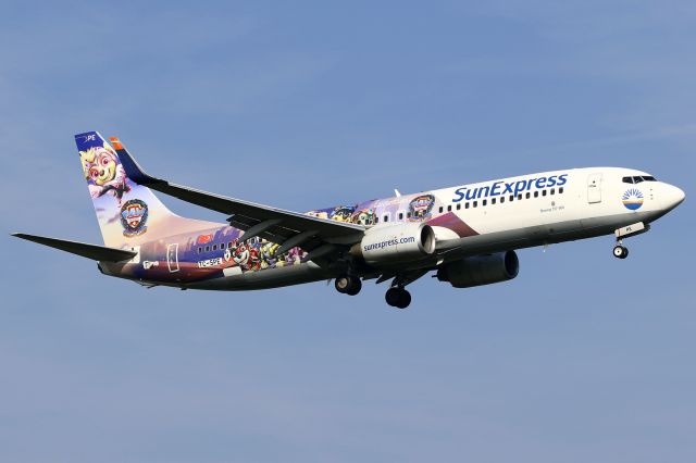 Boeing 737-800 (TC-SPE)