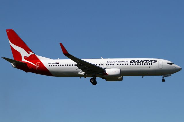 Boeing 737-800 (ZK-ZQH)