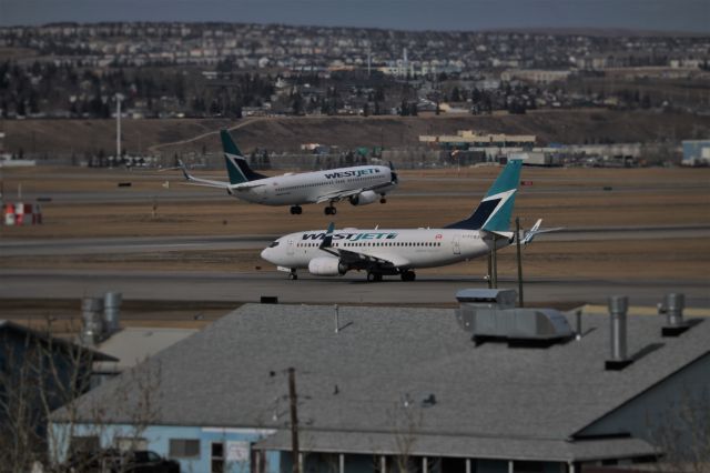 Boeing 737-700 (C-FCWJ) - C-FCWJ (to Plam Springs) Holding short at CYYC while C-FWIJ (from Vancouver) Lands