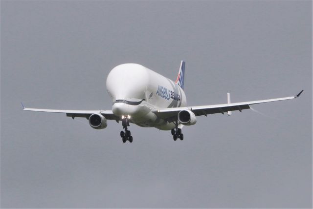 F-WBXL — - airbus beluga xl f-wbxl testing at shannon 20/5/21.