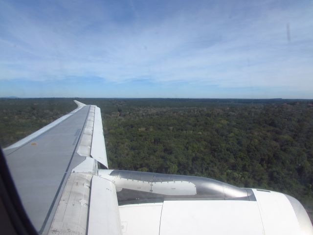 Airbus A320 (LV-BRA) - ON FINAL APPROACH TO PUERTO IGUAZU AIRPORT