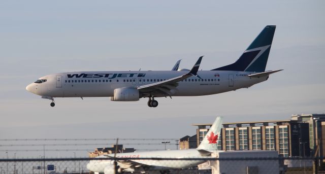 Boeing 737-800 (C-FKRF)