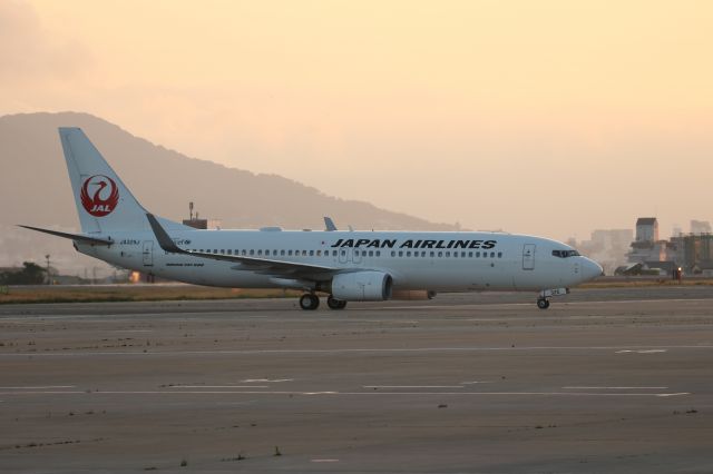 Boeing 737-800 (JA325J) - July 17th 2020:HND-HKD.