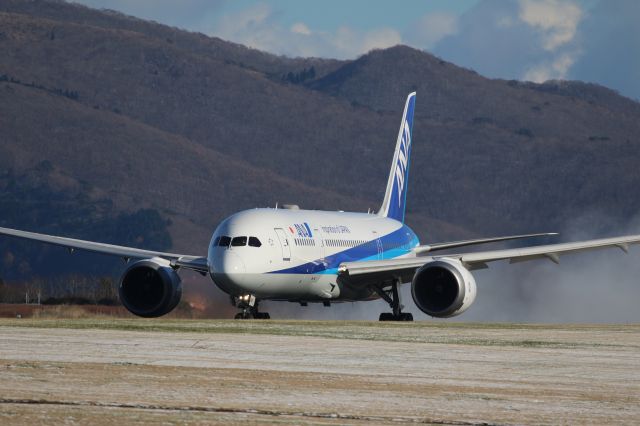 Boeing 787-8 (JA816A) - November 23rd 2018:HKD-HND.