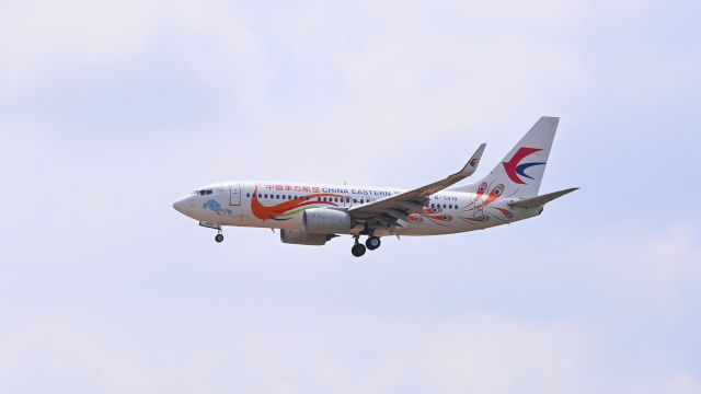 Boeing 737-700 (B-5819) - Photo date:2024.6.16