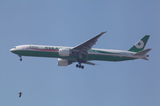 BOEING 777-300ER (B-16701) - ON FINAL