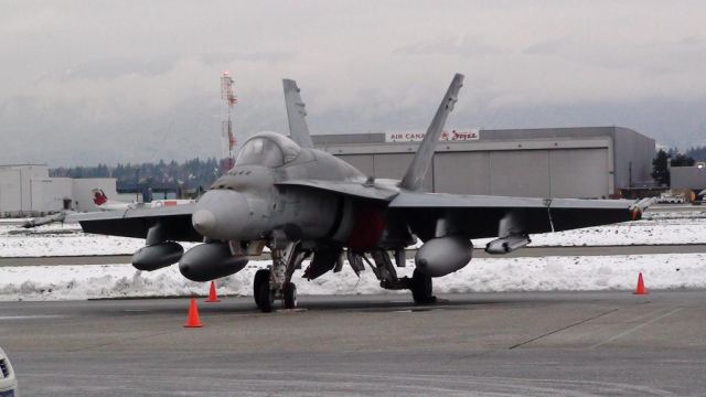 McDonnell Douglas FA-18 Hornet (18-8793)