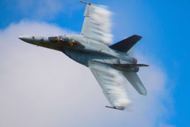 McDonnell Douglas FA-18 Hornet —