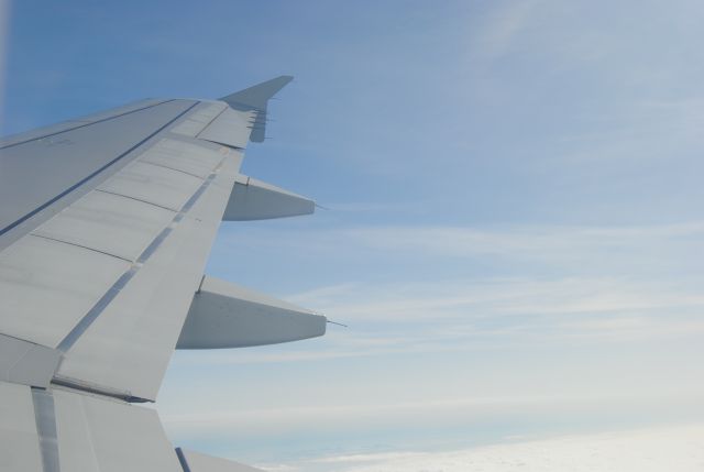 Airbus A319 (CS-TNU) - Flying 