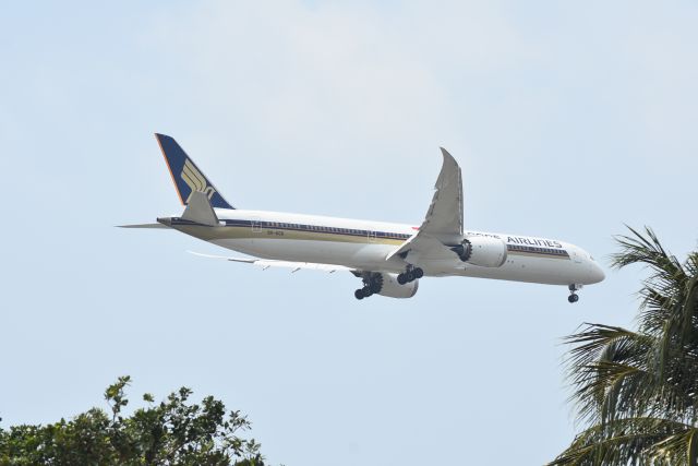 Boeing 787-8 (9V-SCK) - Arrrival, Singapore Airlines, RWY 20R, Changi, Singapore. 8 Sep 2019