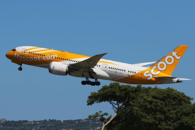 Boeing 787-8 (9V-OFK)