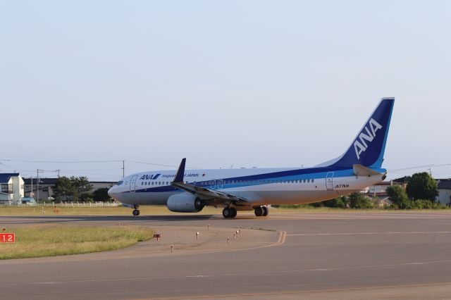 Boeing 737-800 (JA77AN) - 18 June 2015:HKD-KIX.