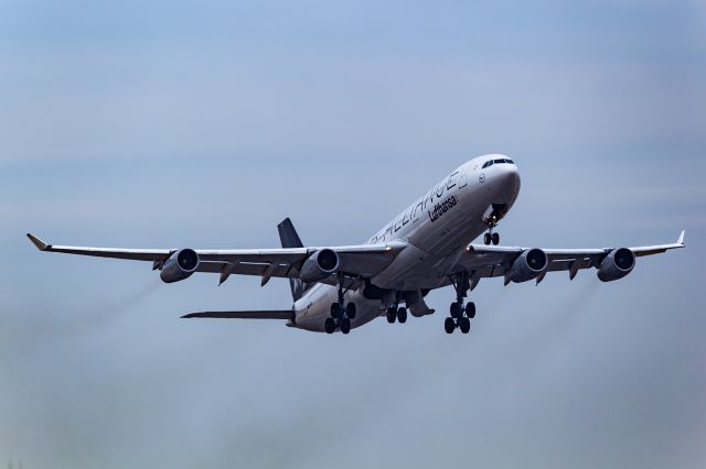 Airbus A340-300 (D-AIFE)