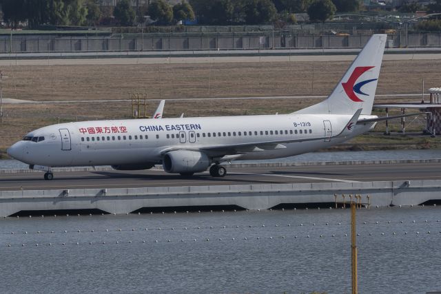 Boeing 737-700 (B-1319)