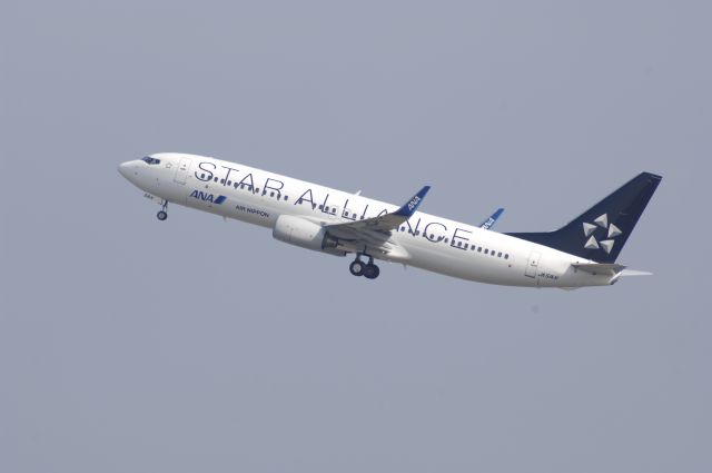 Boeing 737-800 (JA51AN) - Departure at Haneda Intl Airport 34R on 2010/1/31 Star Alliance c/s