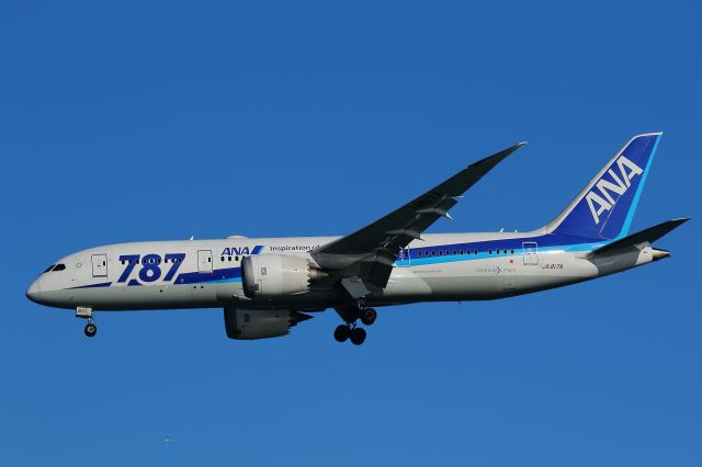 Boeing 787-8 (JA817A)