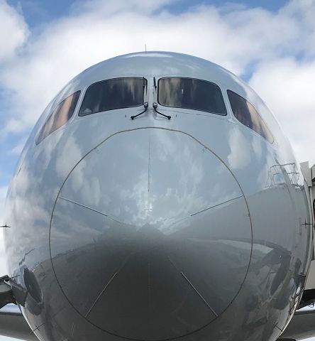 Boeing 787-8 (N819AN) - barry m. goldwater terminal 4 N1 alpha 30 13APR20 