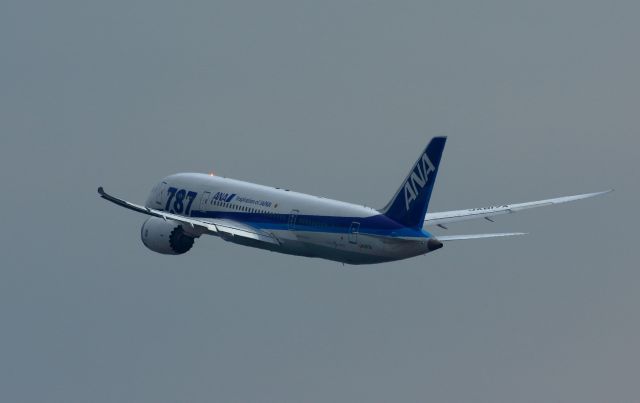 Boeing 787-8 (JA817A)