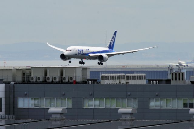 Boeing 787-8 (JA819A) - "Landing on Buildings"