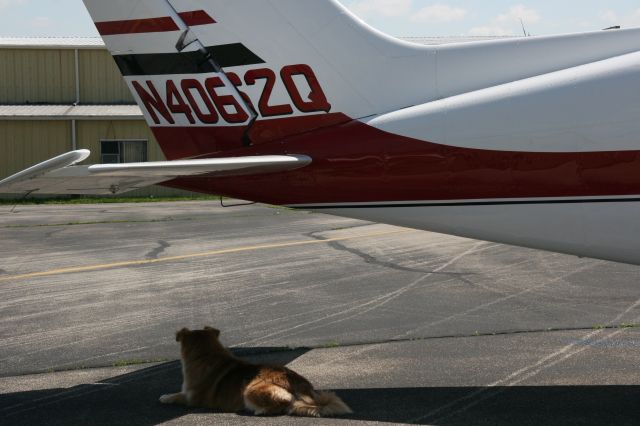 Cessna 402 (N4062Q) - Beau finds shade