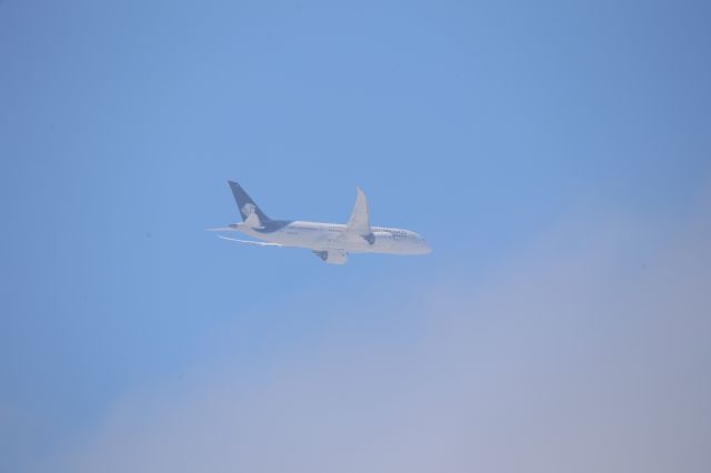 Boeing 787-8 (N966AM)