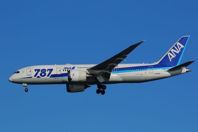 Boeing 787-8 (JA816A)