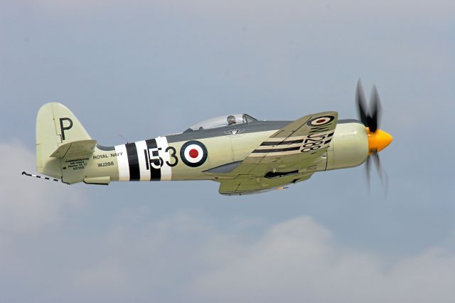 North American Fury (NX15S) - Royal Navy Hawker Sea Fury at EAA Oshkosh 2010