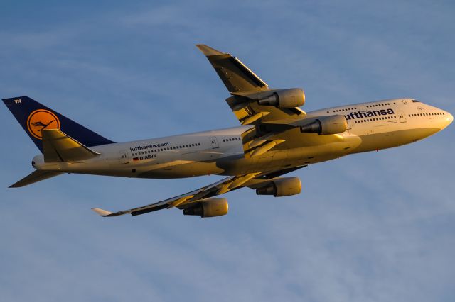 Boeing 747-400 (D-ABVN) - evening sun