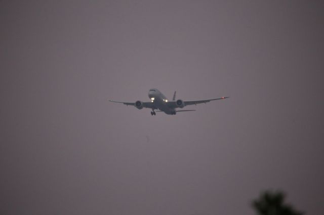 Boeing 787-8 (N806AA)