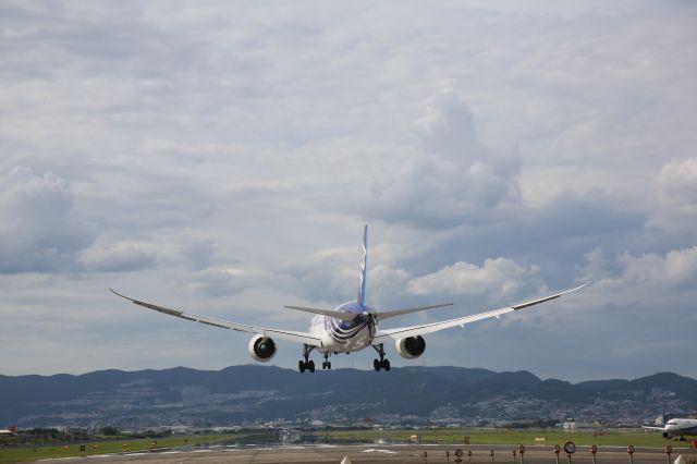 Boeing 787-8 (JA802A)