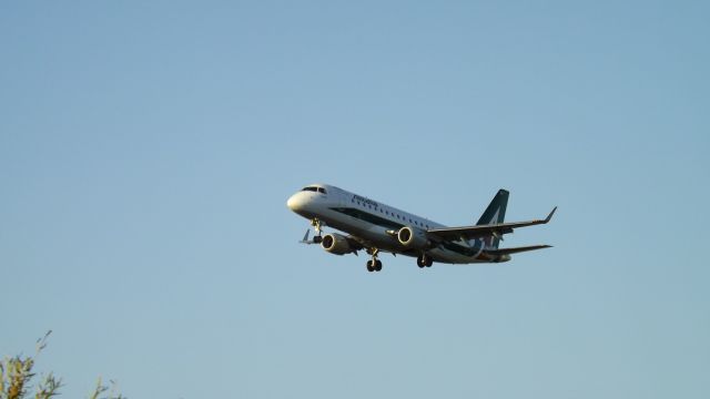 Airbus A319 (EI-DSE)