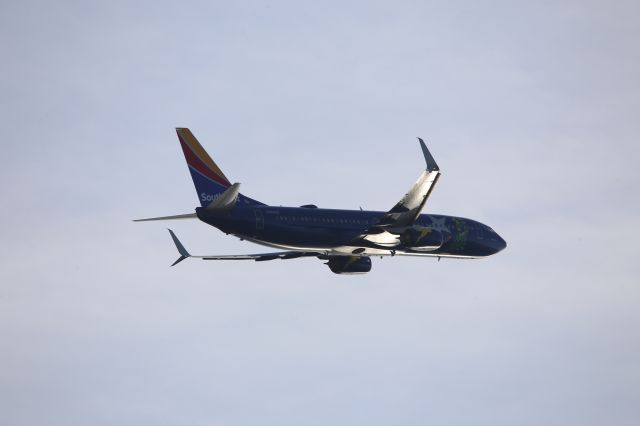 Boeing 737-800 (N8646B)