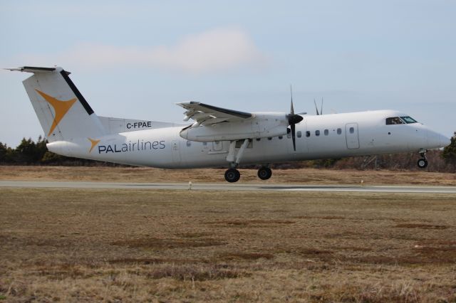 de Havilland Dash 8-300 (C-FPAE) - 05/05/2024.