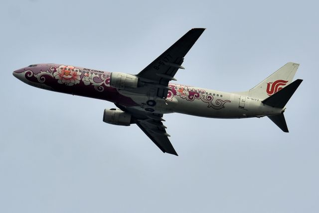Boeing 737-800 (B-5177)